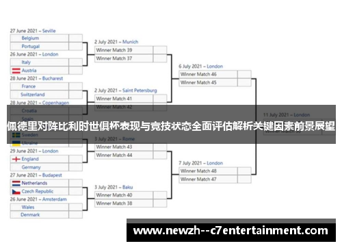 佩德里对阵比利时世俱杯表现与竞技状态全面评估解析关键因素前景展望