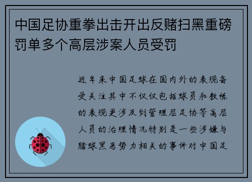 中国足协重拳出击开出反赌扫黑重磅罚单多个高层涉案人员受罚